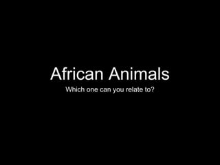 African Animals
Which one can you relate to?
 