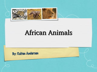 African Animals
By: Kolten Andersen

 