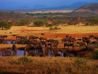 Tourist attraction of African Continent