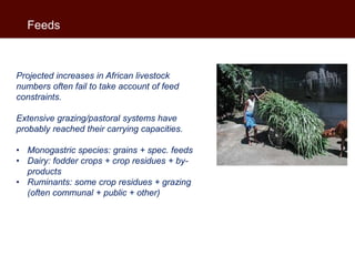 African beef and sheep markets: Situation and drivers