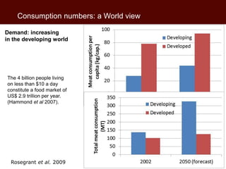 African beef and sheep markets: Situation and drivers