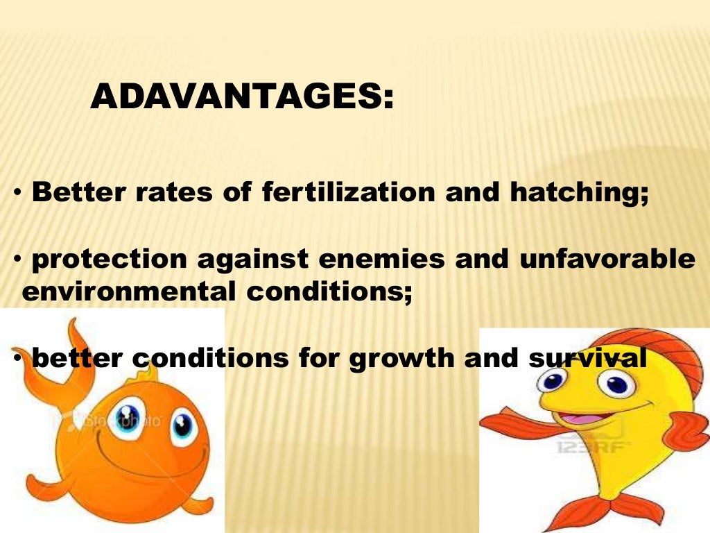 Hatchery Technology of African catfish