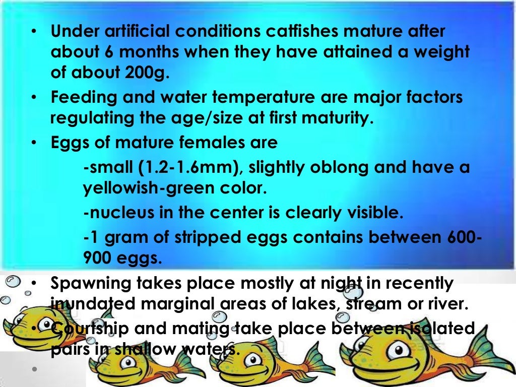 Hatchery Technology of African catfish