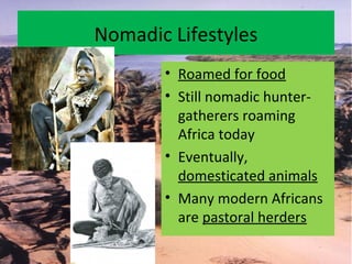Nomadic Lifestyles
• Roamed for food
• Still nomadic hunter-
gatherers roaming
Africa today
• Eventually,
domesticated animals
• Many modern Africans
are pastoral herders
 