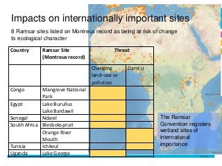 Author name 
Date 
Impacts on internationally important sites 
8 Ramsar sites listed on Montreux record as being at risk o...