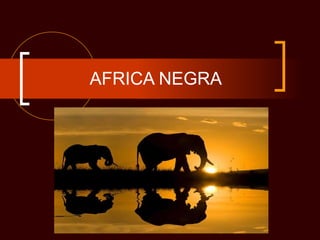 AFRICA NEGRA 