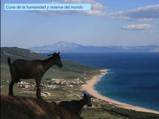 Angola Cuna de la humanidad y reserva del mundo 