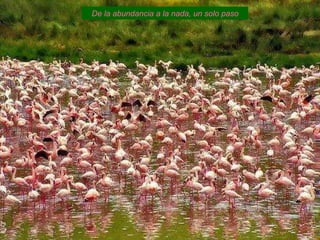 De la abundancia a la nada, un solo paso 