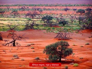 África negra, roja y blanca 