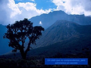 Un cielo que no comprendemos, pero admiramos en secreto 