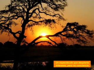 Un espectáculo que despierta
intereses, pero no conciencia
 