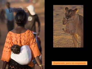 Explorada, pero no respetada
 