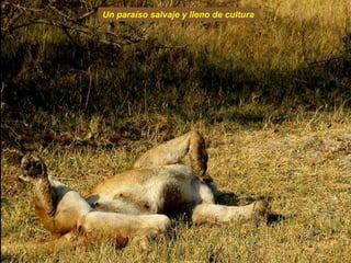 Un paraíso salvaje y lleno de cultura
 