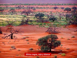 África negra, roja y blanca
 