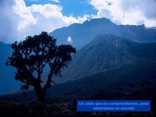 Un cielo que no comprendemos, pero
        admiramos en secreto
 