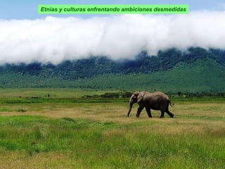 Etnias y culturas enfrentando ambiciones desmedidas
 