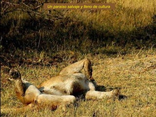 Un paraíso salvaje y lleno de cultura