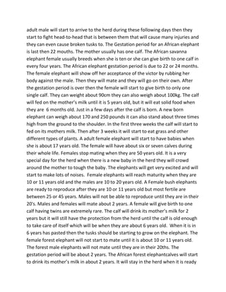 adult male will start to arrive to the herd during these following days then they
start to fight head-to-head that is between them that will cause many injuries and
they can even cause broken tusks to. The Gestation period for an African elephant
is last then 22 mouths. The mother usually has one calf. The African savanna
elephant female usually breeds when she is ten or she can give birth to one calf in
every four years. The African elephant gestation period is due to 22 or 24 months.
The female elephant will show off her acceptance of the victor by rubbing her
body against the male. Then they will mate and they will go on their own. After
the gestation period is over then the female will start to give birth to only one
single calf. They can weight about 90cm they can also weigh about 100kg. The calf
will fed on the mother’s milk until it is 5 years old, but it will eat solid food when
they are 6 months old. Just in a few days after the calf is born. A new born
elephant can weigh about 170 and 250 pounds it can also stand about three times
high from the ground to the shoulder. In the first three weeks the calf will start to
fed on its mothers milk. Then after 3 weeks it will start to eat grass and other
different types of plants. A adult female elephant will start to have babies when
she is about 17 years old. The female will have about six or seven calves during
their whole life. Females stop mating when they are 50 years old. It is a very
special day for the herd when there is a new baby in the herd they will crowd
around the mother to tough the baby. The elephants will get very excited and will
start to make lots of noises. Female elephants will reach maturity when they are
10 or 11 years old and the males are 10 to 20 years old. A Female bush elephants
are ready to reproduce after they are 10 or 11 years old but most fertile are
between 25 or 45 years. Males will not be able to reproduce until they are in their
20's. Males and females will mate about 2 years. A female will give birth to one
calf having twins are extremely rare. The calf will drink its mother’s milk for 2
years but it will still have the protection from the herd until the calf is old enough
to take care of itself which will be when they are about 6 years old. When it is in
6 years has pasted then the tusks should be starting to grow on the elephant. The
female forest elephant will not start to mate until it is about 10 or 11 years old.
The forest male elephants will not mate until they are in their 20ths. The
gestation period will be about 2 years. The African forest elephantcalves will start
to drink its mother’s milk in about 2 years. It will stay in the herd when it is ready
 