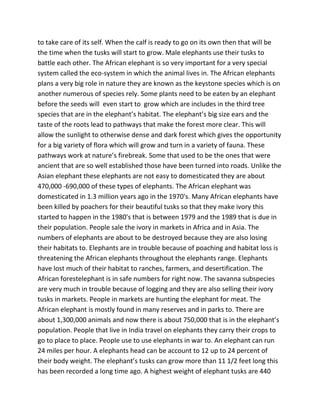 to take care of its self. When the calf is ready to go on its own then that will be
the time when the tusks will start to grow. Male elephants use their tusks to
battle each other. The African elephant is so very important for a very special
system called the eco-system in which the animal lives in. The African elephants
plans a very big role in nature they are known as the keystone species which is on
another numerous of species rely. Some plants need to be eaten by an elephant
before the seeds will even start to grow which are includes in the third tree
species that are in the elephant’s habitat. The elephant’s big size ears and the
taste of the roots lead to pathways that make the forest more clear. This will
allow the sunlight to otherwise dense and dark forest which gives the opportunity
for a big variety of flora which will grow and turn in a variety of fauna. These
pathways work at nature’s firebreak. Some that used to be the ones that were
ancient that are so well established those have been turned into roads. Unlike the
Asian elephant these elephants are not easy to domesticated they are about
470,000 -690,000 of these types of elephants. The African elephant was
domesticated in 1.3 million years ago in the 1970's. Many African elephants have
been killed by poachers for their beautiful tusks so that they make ivory this
started to happen in the 1980's that is between 1979 and the 1989 that is due in
their population. People sale the ivory in markets in Africa and in Asia. The
numbers of elephants are about to be destroyed because they are also losing
their habitats to. Elephants are in trouble because of poaching and habitat loss is
threatening the African elephants throughout the elephants range. Elephants
have lost much of their habitat to ranches, farmers, and desertification. The
African forestelephant is in safe numbers for right now. The savanna subspecies
are very much in trouble because of logging and they are also selling their ivory
tusks in markets. People in markets are hunting the elephant for meat. The
African elephant is mostly found in many reserves and in parks to. There are
about 1,300,000 animals and now there is about 750,000 that is in the elephant’s
population. People that live in India travel on elephants they carry their crops to
go to place to place. People use to use elephants in war to. An elephant can run
24 miles per hour. A elephants head can be account to 12 up to 24 percent of
their body weight. The elephant’s tusks can grow more than 11 1/2 feet long this
has been recorded a long time ago. A highest weight of elephant tusks are 440
 