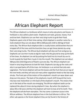 Customer: Ms. Jeannie

                                                  Animal: African Elephant

                                      Report: Felicia Ferentinos


      African Elephant Report
The African elephant is a herbivore which means it only eats plants and leaves. A
herbivore is also called a plant-eater. Elephants eat roots, grasses, leaves, fruit
and tree bark. Elephants can use their very long trunks to grab their food.
Elephants spent a lot of their time eating. A Bull elephant is another name for a
male elephant they can eat about 300 to 600 pounds (130 to 260 kg) of food
every day. The African Bush elephant diet is usually leaves and branches that are
stripped off of the trees and the branches they can get these planets by using
their very long trunks. The African bush elephant will also eat fruit and grass to.
Elephants can use their trunks to dig for roots into the ground to strip up the bark
of the trees. An elephant can eat by putting the food into its mouth by use its
trunk to grab the food then it puts it into the mouth. The elephant can eat about
300 pounds (136 kilograms) of food in just one day. The African elephant can
travel in very long distances to look for food. Elephants can dig up the roots and
also it can peel barks off of the trees. An herbivore is an animal that only eats
vegetation. The forest elephant will eat the leaves and the fruit that are on top of
the tree herbs and they will also eat many other vegetation foods to like low-lying
shrubs. The front pair of the molars of the elephant’s mouth can wear down and
drop out into pieces. The back of the elephants mouth shift forward that turns
into two new molarsthat is in the back of the elephant’s mouth. The molars that
are in the back of the mouth are emerging. The African elephant teeth can be
replaced like about 6 times during elephant’s lives. But when the elephant is
about 40 or 60 years old then the elephant will start to lose all of its teeth. Then
the elephant will die from starvation. This has come a common cause in the
African wildness. The African elephant lives in the Sub-Saharan in Africa. The
other sub-species is the forest elephant they can be found in the forests of
 