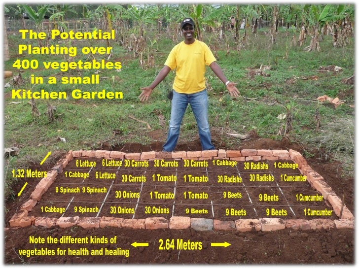 African Gardening For Life Power Point Small File Pdf Format