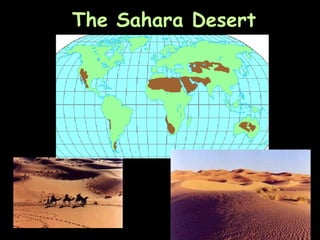 The Sahara Desert 