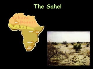 The Sahel 
 