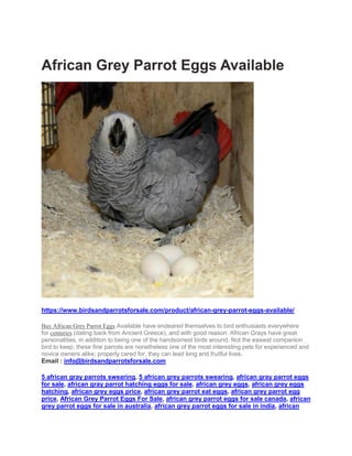 African Grey Parrot Eggs Available
https://www.birdsandparrotsforsale.com/product/african-grey-parrot-eggs-available/
Buy African Grey Parrot Eggs Available have endeared themselves to bird enthusiasts everywhere
for centuries (dating back from Ancient Greece), and with good reason: African Grays have great
personalities, in addition to being one of the handsomest birds around. Not the easiest companion
bird to keep, these fine parrots are nonetheless one of the most interesting pets for experienced and
novice owners alike; properly cared for, they can lead long and fruitful lives.
Email : info@birdsandparrotsforsale.com
5 african gray parrots swearing, 5 african grey parrots swearing, african gray parrot eggs
for sale, african gray parrot hatching eggs for sale, african grey eggs, african grey eggs
hatching, african grey eggs price, african grey parrot eat eggs, african grey parrot egg
price, African Grey Parrot Eggs For Sale, african grey parrot eggs for sale canada, african
grey parrot eggs for sale in australia, african grey parrot eggs for sale in india, african
 