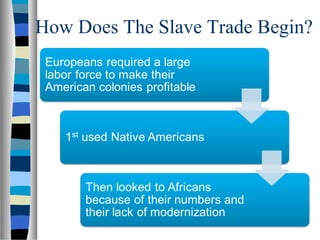 How Does The Slave Trade Begin?
 