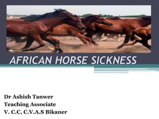 AFRICAN HORSE SICKNESS
Dr Ashish Tanwer
Teaching Associate
V. C.C, C.V.A.S Bikaner
 