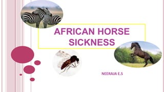 AFRICAN HORSE
SICKNESS
NEERAJA E.S
 