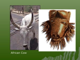 African Cow
 