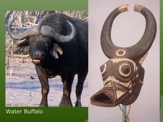Water Buffalo
 