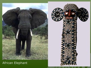 African Elephant
 