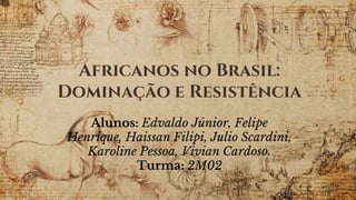Africanos no Brasil:
Dominação e Resistência
Alunos: Edvaldo Júnior, Felipe
Henrique, Haissan Filipi, Julio Scardini,
Karoline Pessoa, Vivian Cardoso.
Turma: 2M02
 