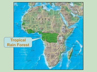 African Tropical Rainforest Map African Political And Physical Map 6 320 