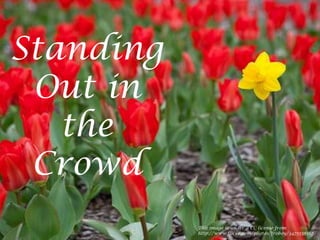 Standing Out in the CrowdThis image is under a CC license fromhttp://www.flickr.com/photos/froboy/3475555562/