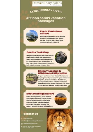 African Safari Vacation Package.pdf
