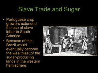 Slave Trade and Sugar
• Portuguese crop
growers extended
the use of slave
labor to South
America.
• Because of this,
Brazil would
eventually become
the wealthiest of the
sugar-producing
lands in the western
hemisphere.
 