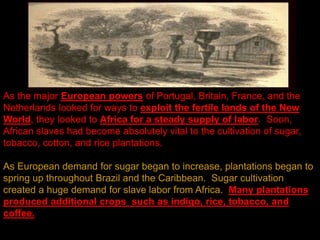 As the major European powers of Portugal, Britain, France, and the
Netherlands looked for ways to exploit the fertile lands of the New
World, they looked to Africa for a steady supply of labor. Soon,
African slaves had become absolutely vital to the cultivation of sugar,
tobacco, cotton, and rice plantations.
As European demand for sugar began to increase, plantations began to
spring up throughout Brazil and the Caribbean. Sugar cultivation
created a huge demand for slave labor from Africa. Many plantations
produced additional crops such as indigo, rice, tobacco, and
coffee.
 