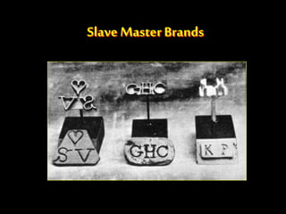 Slave MasterBrands
 