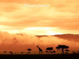 Afrika Sunrise African Sunrise 