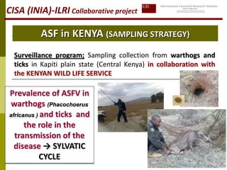African swine fever (ASF) in Africa: Main activities 2004-2011 | PDF
