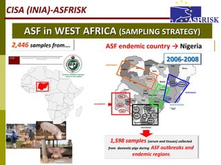 African swine fever (ASF) in Africa: Main activities 2004-2011 | PDF