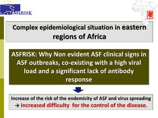 African swine fever (ASF) in Africa: Main activities 2004-2011 | PDF