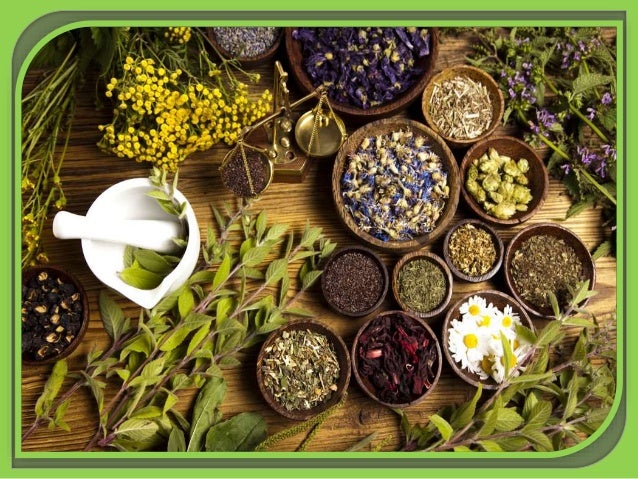 African traditional herbal medicine