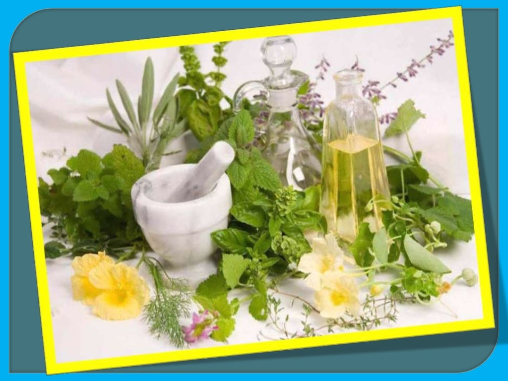 African traditional herbal medicine