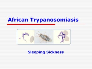 African Trypanosomiasis
Sleeping Sickness
 