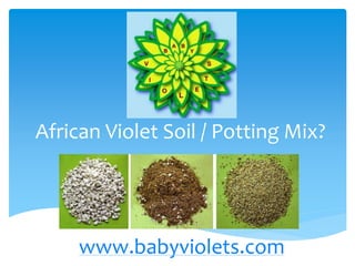 African Violet Soil / Potting Mix?
www.babyviolets.com
 