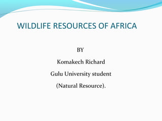 WILDLIFE RESOURCES OF AFRICA
BY
Komakech Richard
Gulu University student
(Natural Resource).
 